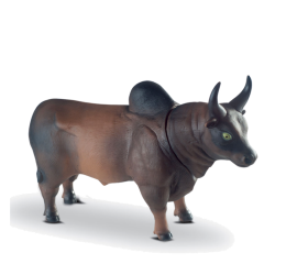 TOUROS DIVERSOS CX 30CM 519/806